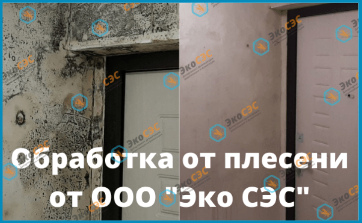 удаление плесени 